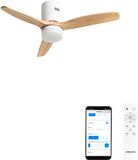 Create WIND CALM NATURAL WOOD Plafondventilator 40W met licht en WIFI
