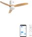 Create WIND CALM NATURAL WOOD Plafondventilator 40W met licht en WIFI