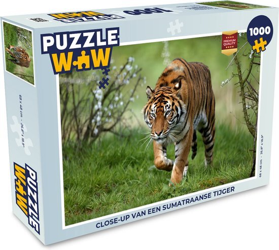 MuchoWow Puzzel Close-up van een Sumatraanse tijger - Legpuzzel - Puzzel 1000 stukjes volwassenen