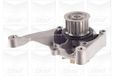 Graf PA1108 Waterpomp