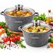 MASTERPAN Set de 4 casseroles | 7L | 10L | Antiadhésives | Compatible induction | Avec couvercles | MP2163