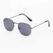 Chpo Ian Zonnebril Zilver Black