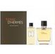Hermès Terre D'Hermes EDT Set 100ml + 80ml Shower Gel