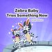 Zebra Baby Tries Something New
