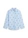 TOMMY HILFIGER Blouse lichtblauw / groen / wit