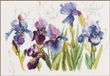 Lanarte Borduurpakket - 3 Blauwe irissen - 40 x 28cm