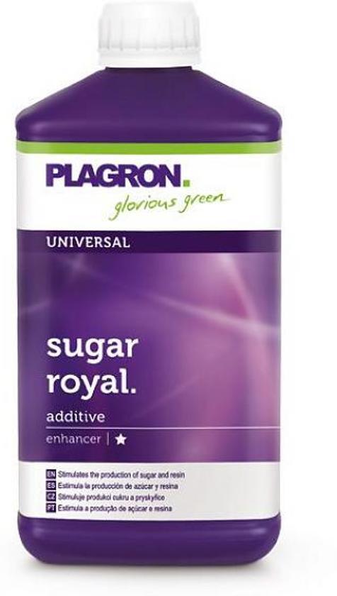 Plagron Sugar Royal 1 ltr