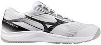 Mizuno Cyclone Speed 5 Indoorschoenen Heren