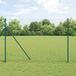 Euro-grillage Clôture de jardin verte 1,6 x 10 m fer revêtu de PVC
