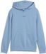 Puma Ess Small No.1 Logo Centered Hoodie Fl B Sweater - Fashion Wear - Kinderen
