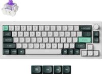 Keychron Q2 HE QMK, magnetische gaming-toetsenbord met QWERTY-indeling, 2.4G/Bluetooth/USB-C, RGB, hot-swap, witte behuizing, Gateron Double-Rail Nebula switches