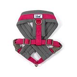 Viva Gewatteerde Harnas Roze S 36-42cm