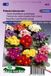 Merkloos / Sans marque Sluis Garden Primula Colossea Mixed (Sleutelbloem)