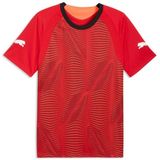 Puma jersey-top IndividualFINAL 660424