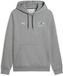 Puma BMW MMS Hoodie