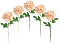 Kunstbloemen, ranonkels, set van 5, 35 cm, kunstmatig als echte ranonkels, bloemen, decoraties, bloemendecoratie, lentebloemen, paasdecoratie, zijden bloemen, enkele bloemen, steelbloemen