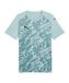 PUMA teamFINAL Graphic Jersey