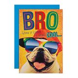 Hallmark Verjaardagskaart voor broer - Grappig Mad as Cheese Top Dog Design