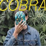 Bertus Distributie Cobra - Francois Club