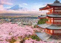 Castorland Puzzle Le Printemps au Japon