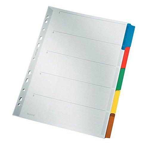 Leitz Tabbladen 4320 A4+ Grijs 5 tabs Geperforeerd Karton Blanco