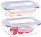 B-home 2x vershoudbakje/lunchbox - luchtdicht - met clips - glas - 15 x 11 cm - 370 ml