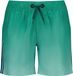 Vingino Xandro Jongens Zwembroeken Ivy Polyester 176