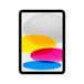 Apple iPad / WiFi / 64 GB / Zilver