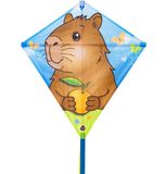 HQ Invento HQ Kindervlieger Eddy Capybara 100065 Roze 68 x 68 cm + 200 cm staart