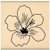 Florilèges Design FB210148 stempel voor scrapbooking, hibiscus, wit/beige, 4 x 4 x 2,5 cm