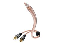 Inakustik 0030823 audio kabel 3 m RCA 2 x RCA Transparant