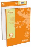 Calligraphe 17254C Schrijfblok Forever Kopgeniet Oranje - A4 21x29,7 cm - 200 Pagina's Kleine Ruitjes - Papier 100% Gerecycled 70 g - Omslag Gerecycled
