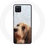 Maniacase Hoesje voor Samsung Galaxy A42 5G Kleine Basset Hound Griffioen