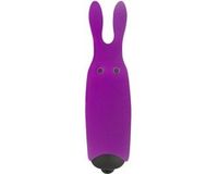 ADRIEN LASTIC - Lastic Pocket Vibe Vibrator - Violet