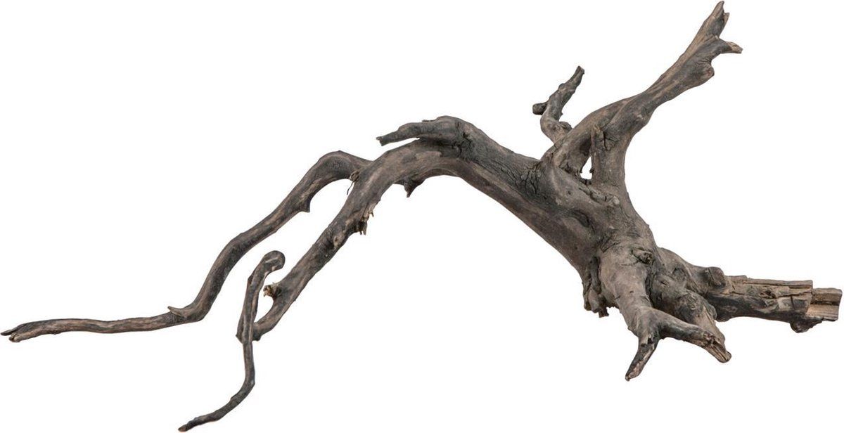 Sera Filigrane wortel Scaper Root S • 25 – 30 cm
