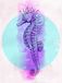 Komar Muurafbeelding | Sea Horse Circle | Poster