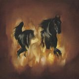 Konkurrent The Besnard Lakes - Are The Dark Horse (CD)