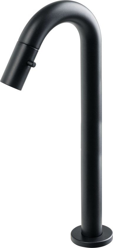 Plieger Fonteinkraan Lupo 2.0 Verhoogd Mat Zwart - Messing - 8711238416779