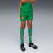 PUMA Short de gardien de but 25/26 Manchester City Enfant et Adolescent, Vêtements, Vert, 15-16 ans