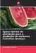 Época Edicoes Nosso Conhecimento Época óptima de plantação para a produção de melancia (Citrullus lanatus) Paperback
