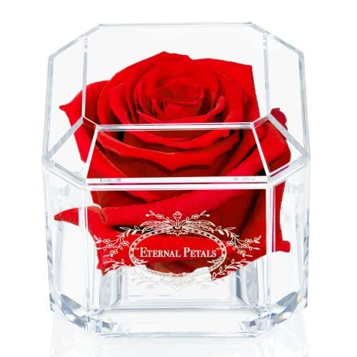 Echte Roos - Witgoud Solo (Rood) - Perfect Cadeau - 1 Jaar Houdbaar