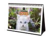 Finocam - Kalender 2023 tafelfoto's om te schrijven januari 2023 - december 2023 (12 maanden) Catalaans