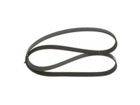 BOSCH Courroie striée 1987947560 | Compatible avec: TOYOTA HILUX VII Pick-up