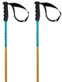 Volkl Phantastick Junior Stokken Transparant 105 cm