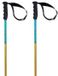 Volkl Phantastick Junior Stokken Transparant 105 cm