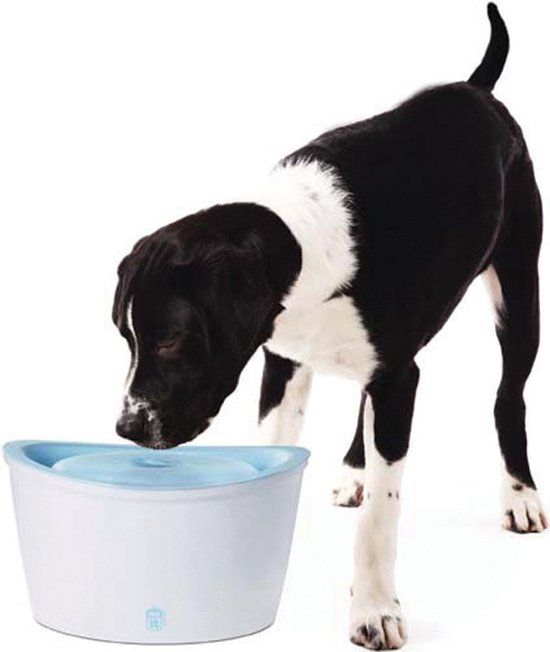 Hagen drinkfontein - Wit - 6 L - Voor honden