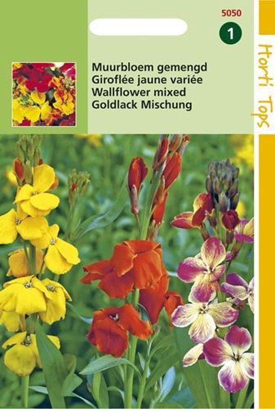 Hortitops Zaden - Cheiranthus Cheirii Fair Lady Gemengd