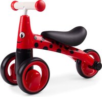 Bigjigs Didicar Lieveheersbeestje - Loopfiets - Max. 25 kg - Multikleur