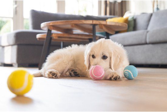 Beeztees Puppy Tennisballen