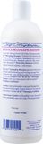 Chris Christensen Ice on Ice Shampoo Arganolie 473ml